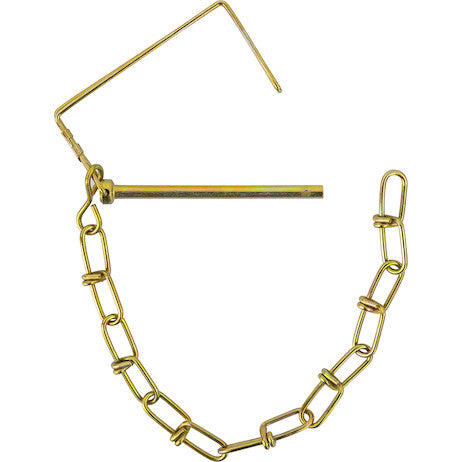 Load image into Gallery viewer, Snapper Pin - 1/4in Diameter x 3-1/2in Usable Length with 12in Chain Lanyard