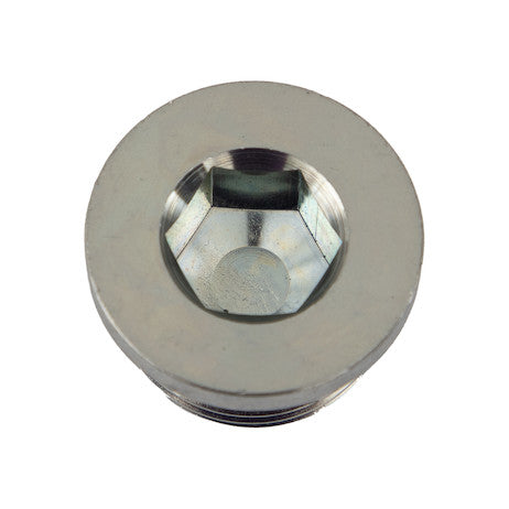 Load image into Gallery viewer, Straight Thread O-Ring Hex Socket Plug 3/4 Inch Port Size
