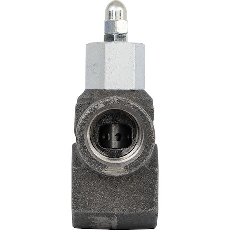 Load image into Gallery viewer, 1 Inch NPT In-Line Relief Valve 30 GPM