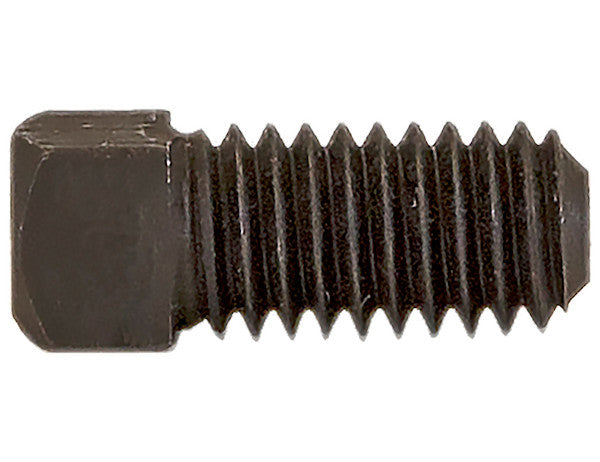 Load image into Gallery viewer, Square Head Set Screw 1/4-20 x 3/4 Inch - No Hole

