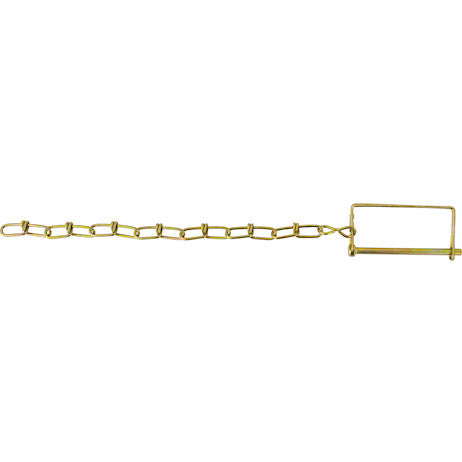 Load image into Gallery viewer, Snapper Pin - 1/4in Diameter x 3-1/2in Usable Length with 12in Chain Lanyard
