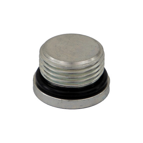 Load image into Gallery viewer, Straight Thread O-Ring Hex Socket Plug 3/4 Inch Port Size
