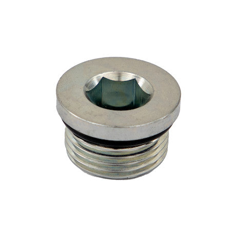Load image into Gallery viewer, Straight Thread O-Ring Hex Socket Plug 3/4 Inch Port Size
