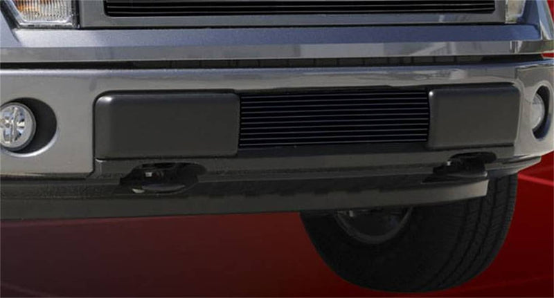 Load image into Gallery viewer, T-Rex Billet Bumper Inserts — 2009-2014 Ford F-150 - TRE-25569B - Absolute Autoguard
