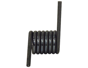 Heavy Duty Torsion Ramp Spring