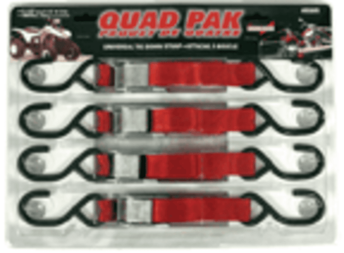 5.5' CAM STRAP QUAD PACK - ERI-05605 - Absolute Autoguard